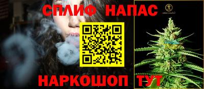 гашик Бердск