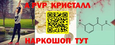 гашик Бердск