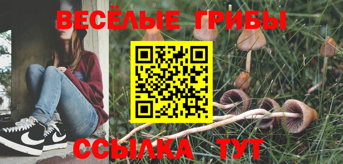 Псилоцибиновые грибы Воронеж