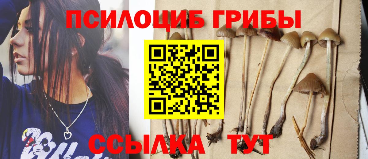 Псилоцибиновые грибы прущие грибы Воронеж