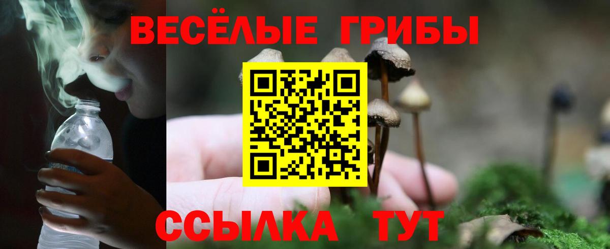 цены наркотик  Галлюциногенные грибы мицелий  Вход с VPN  Воронеж 